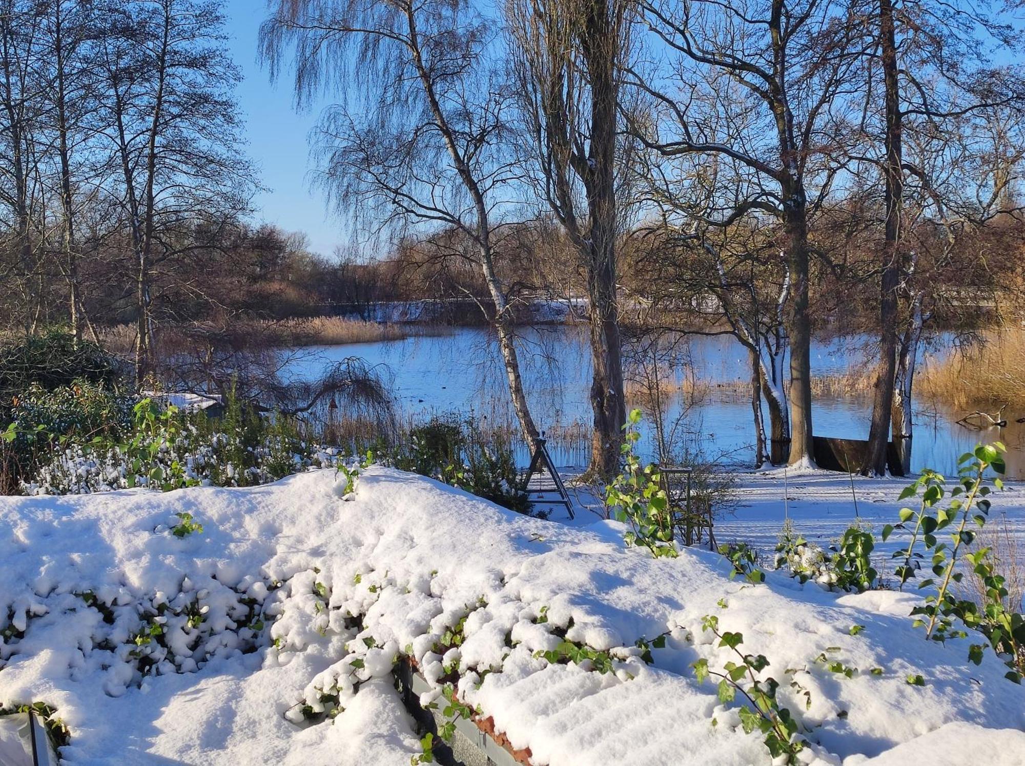 Ferienwohnungen Am Schwanensee 布隆 外观 照片