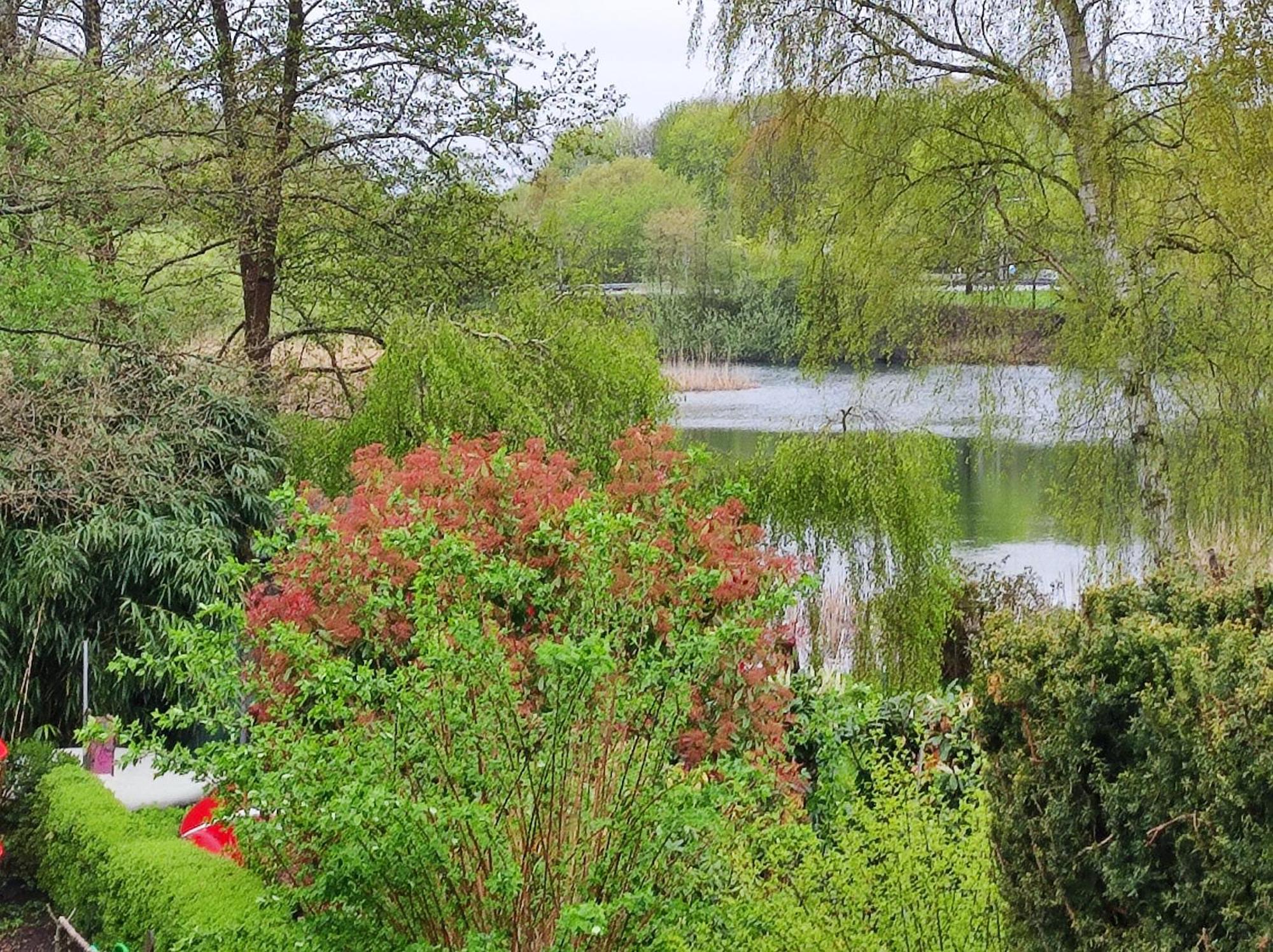 Ferienwohnungen Am Schwanensee 布隆 外观 照片